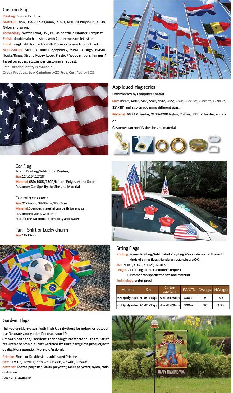 China Factory Custom All Size Flag 90x150cm Sports Polyester Flag 3x5 Flag Banner Promotion Outdoor Country Flags